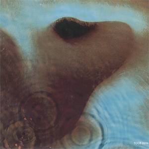 meddle