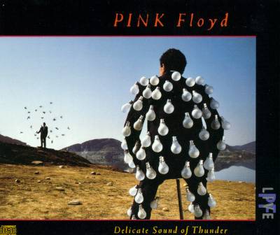 the_delicate_sound_of_thunder